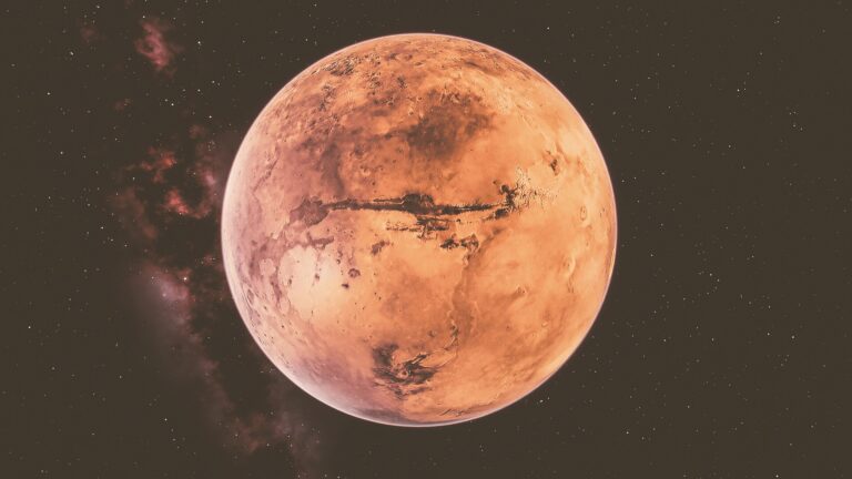 Terrestri su Marte